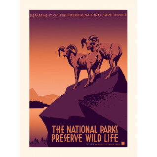 Poster Plakat Wild Life